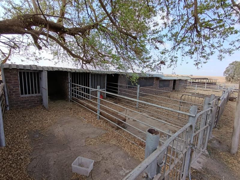 4 Bedroom Property for Sale in Middelburg Eastern Cape